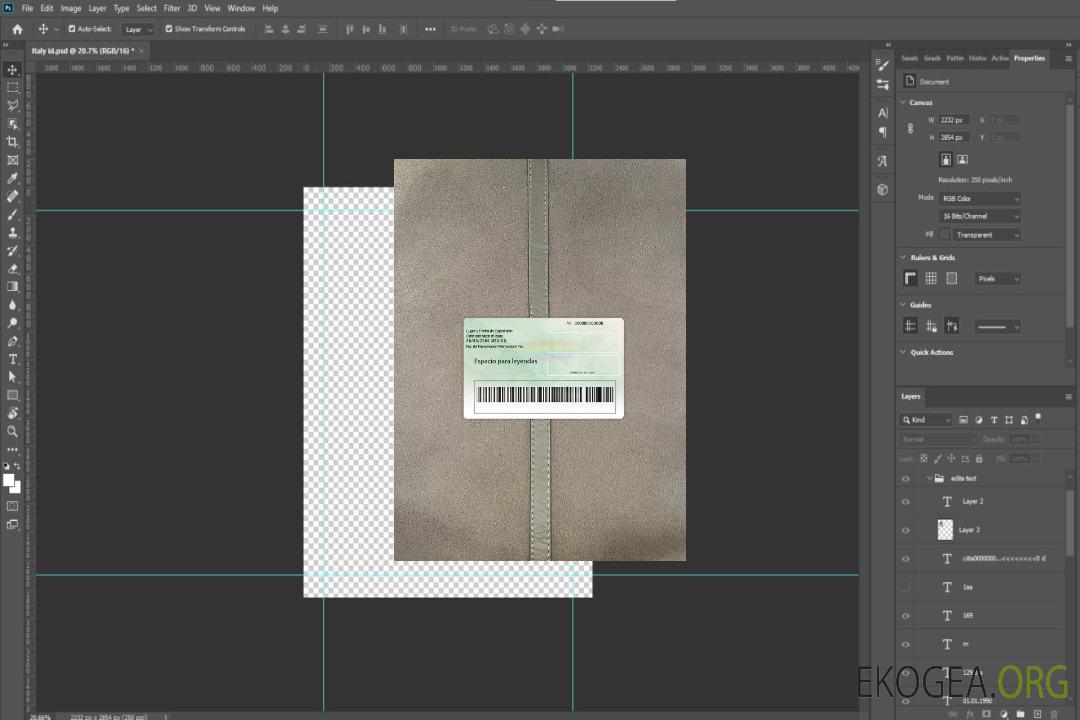 Photo de la carte verte mexicaine (permis de séjour) en arrière template